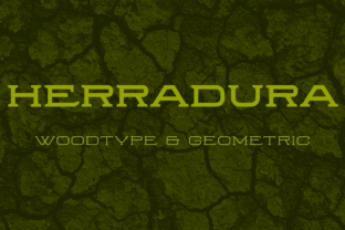 Herradura Family: A Wood-Type Slab Serif Typeface with Modern Angular Character