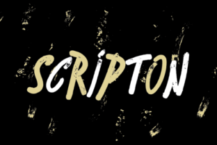 Scripton: A Dual-Weight Brush Typeface for Dynamic Design