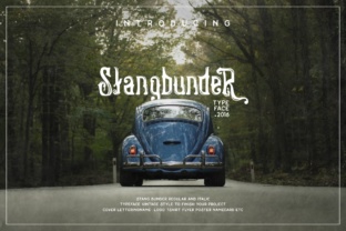 Stangbunder: A Vintage Display Font with Character and Practical Versatility