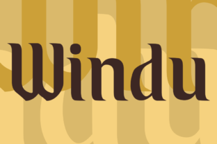 Windu: A Display Font with Purpose for Modern Branding